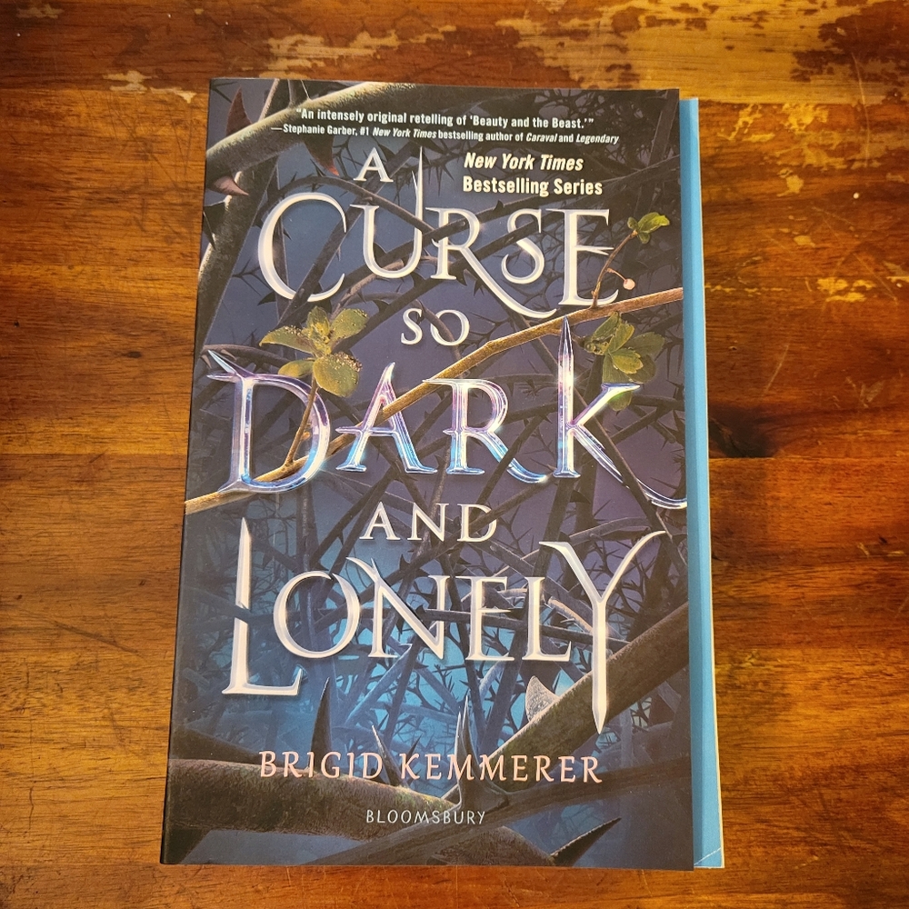 A Curse So Dark and Lonely Paperback Novel By Brigid Kemmerer - GUC